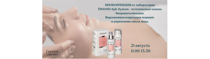 Презентация протокола от ÉMANSI+Aph-System