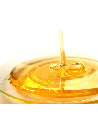 Выездной семинар в Гродно: фотоотчет